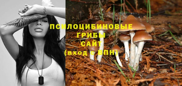 молекула духа Бугульма