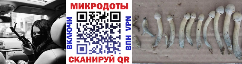 как найти наркотики  Володарск  Псилоцибиновые грибы прущие грибы 